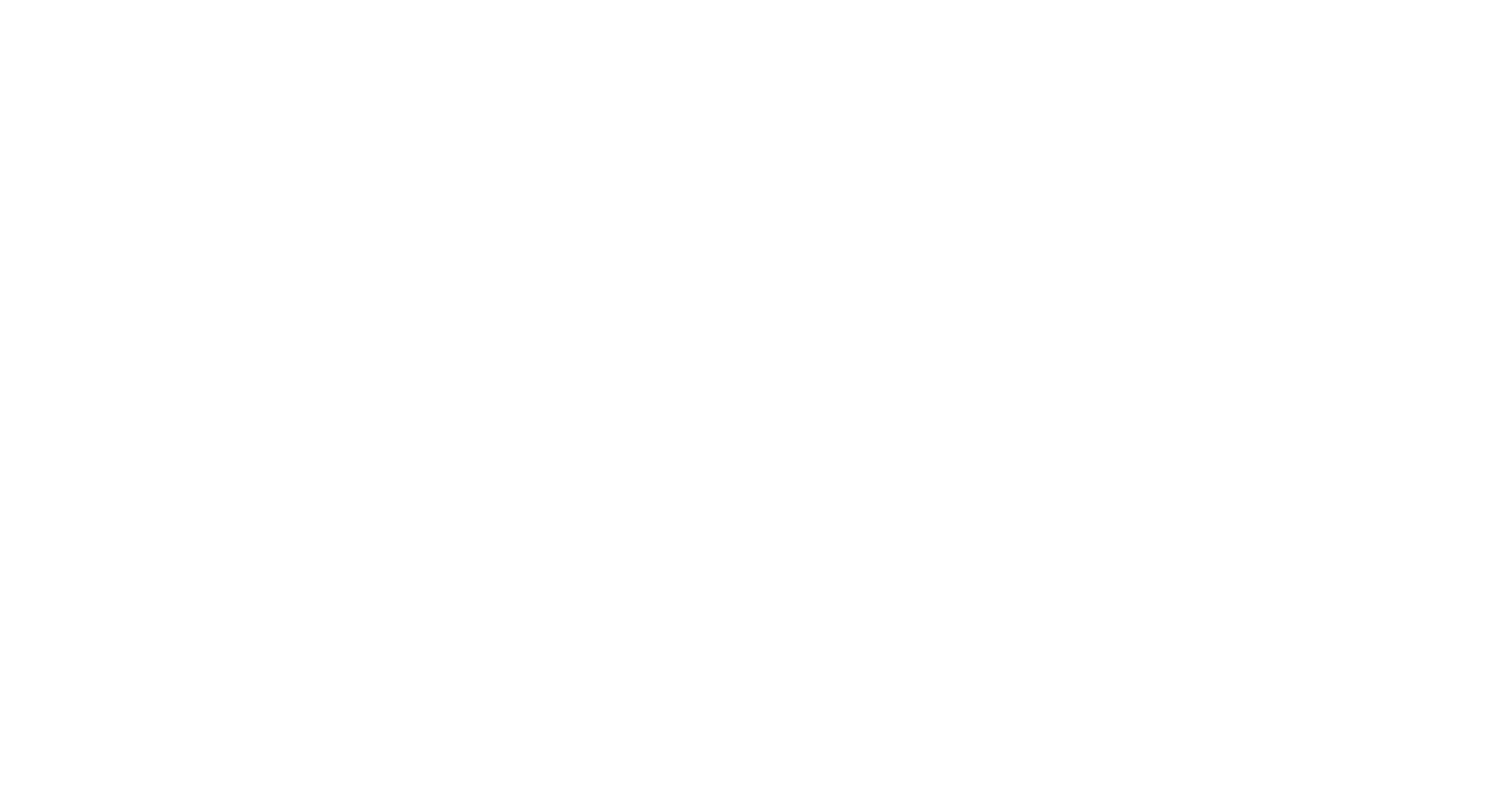 Logo 3C IP Connect - blanc
