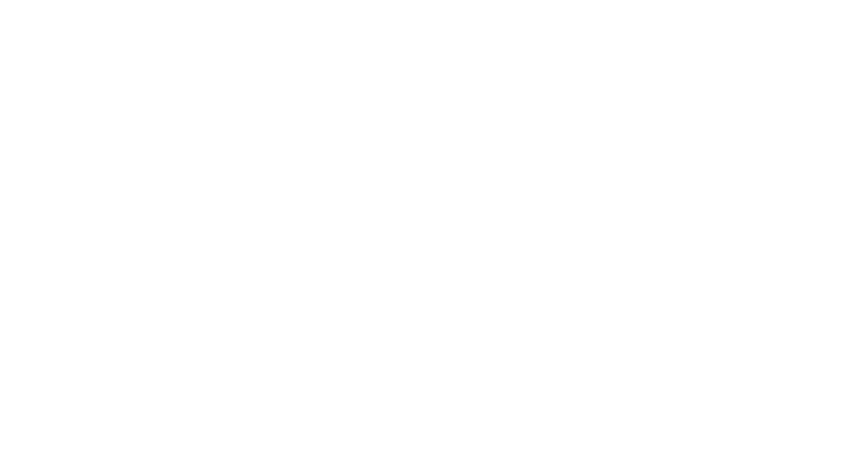Logo 3C Lizot Menuiserie - blanc